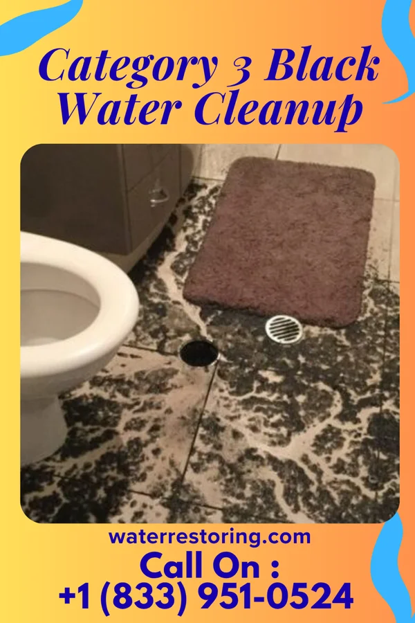 Category 3 Black Water Cleanup in Temple, OK